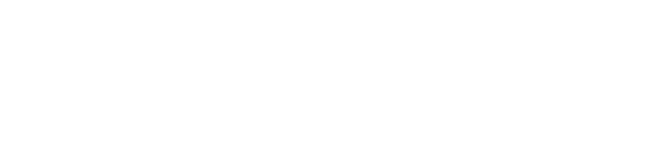 Zoho Projects Plus